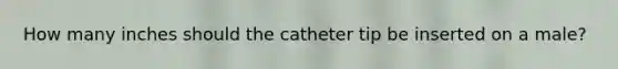 How many inches should the catheter tip be inserted on a male?