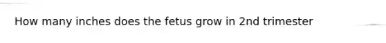 How many inches does the fetus grow in 2nd trimester