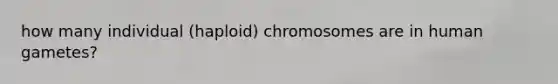 how many individual (haploid) chromosomes are in human gametes?