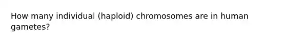 How many individual (haploid) chromosomes are in human gametes?