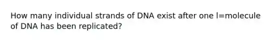 How many individual strands of DNA exist after one l=molecule of DNA has been replicated?