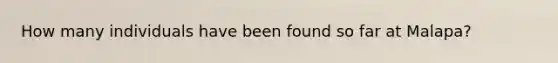 How many individuals have been found so far at Malapa?