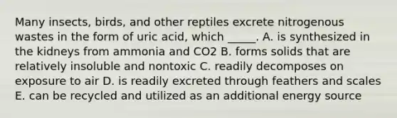 Many insects, birds, and other reptiles excrete nitrogenous wastes in the form of uric acid, which _____. A. is synthesized in the kidneys from ammonia and CO2 B. forms solids that are relatively insoluble and nontoxic C. readily decomposes on exposure to air D. is readily excreted through feathers and scales E. can be recycled and utilized as an additional energy source