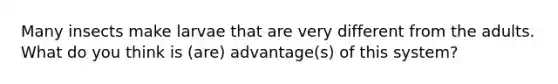 Many insects make larvae that are very different from the adults. What do you think is (are) advantage(s) of this system?