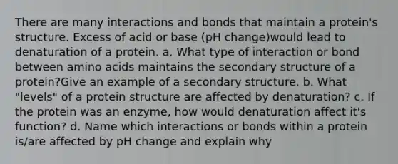 There are many interactions and bonds that maintain a protein's structure. Excess of acid or base (pH change)would lead to denaturation of a protein. a. What type of interaction or bond between amino acids maintains the secondary structure of a protein?Give an example of a secondary structure. b. What "levels" of a protein structure are affected by denaturation? c. If the protein was an enzyme, how would denaturation affect it's function? d. Name which interactions or bonds within a protein is/are affected by pH change and explain why