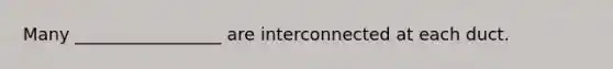 Many _________________ are interconnected at each duct.