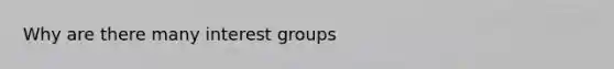 Why are there many interest groups