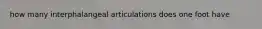 how many interphalangeal articulations does one foot have