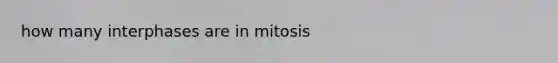 how many interphases are in mitosis