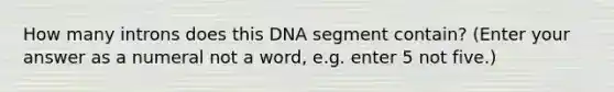 How many introns does this DNA segment contain? (Enter your answer as a numeral not a word, e.g. enter 5 not five.)