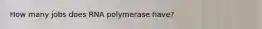 How many jobs does RNA polymerase have?