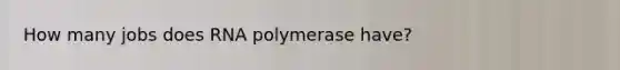 How many jobs does RNA polymerase have?