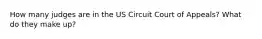 How many judges are in the US Circuit Court of Appeals? What do they make up?