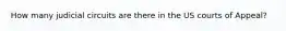 How many judicial circuits are there in the US courts of Appeal?