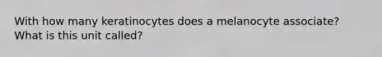 With how many keratinocytes does a melanocyte associate? What is this unit called?