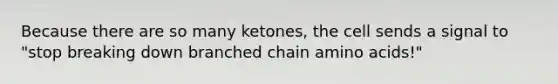 Because there are so many ketones, the cell sends a signal to "stop breaking down branched chain amino acids!"