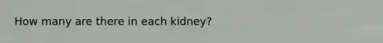 How many are there in each kidney?