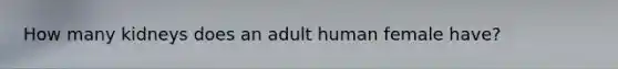 How many kidneys does an adult human female have?