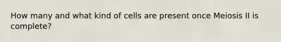 How many and what kind of cells are present once Meiosis II is complete?