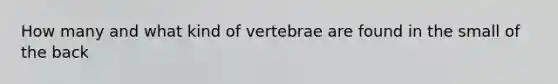 How many and what kind of vertebrae are found in the small of the back