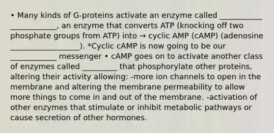 • Many kinds of G-proteins activate an enzyme called ___________ ____________, an enzyme that converts ATP (knocking off two phosphate groups from ATP) into → cyclic AMP (cAMP) (adenosine __________________). *Cyclic cAMP is now going to be our ____________ messenger • cAMP goes on to activate another class of enzymes called _________ that phosphorylate other proteins, altering their activity allowing: -more ion channels to open in the membrane and altering the membrane permeability to allow more things to come in and out of the membrane. -activation of other enzymes that stimulate or inhibit metabolic pathways or cause secretion of other hormones.