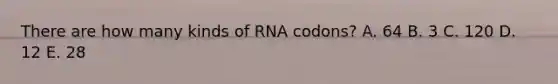 There are how many kinds of RNA codons? A. 64 B. 3 C. 120 D. 12 E. 28