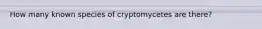 How many known species of cryptomycetes are there?