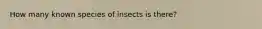 How many known species of insects is there?