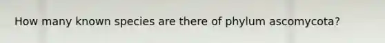 How many known species are there of phylum ascomycota?