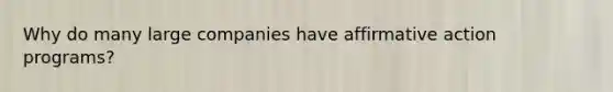 Why do many large companies have affirmative action programs?