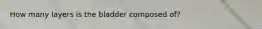 How many layers is the bladder composed of?