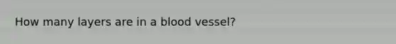 How many layers are in a blood vessel?