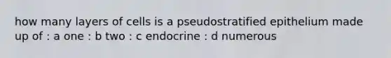 how many layers of cells is a pseudostratified epithelium made up of : a one : b two : c endocrine : d numerous