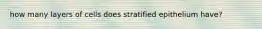 how many layers of cells does stratified epithelium have?