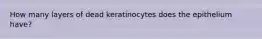 How many layers of dead keratinocytes does the epithelium have?