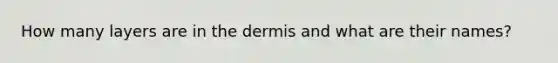 How many layers are in <a href='https://www.questionai.com/knowledge/kEsXbG6AwS-the-dermis' class='anchor-knowledge'>the dermis</a> and what are their names?