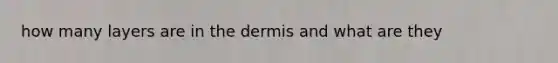 how many layers are in <a href='https://www.questionai.com/knowledge/kEsXbG6AwS-the-dermis' class='anchor-knowledge'>the dermis</a> and what are they