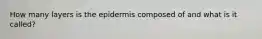 How many layers is the epidermis composed of and what is it called?