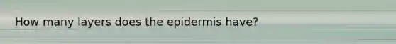 How many layers does the epidermis have?