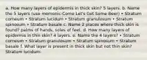 a. How many layers of epidermis in thick skin? 5 layers. b. Name the 5 layers (use memonic-Come Let's Get Some Beer) • Stratum corneum • Stratum lucidum • Stratum granulosum • Stratum spinosum • Stratum basale c. Name 2 places where thick skin is found? palms of hands, soles of feet. d. How many layers of epidermis in thin skin? 4 layers. e. Name the 4 layers? • Stratum corneum • Stratum granulosum • Stratum spinosum • Stratum basale f. What layer is present in thick skin but not thin skin? Stratum lucidum.