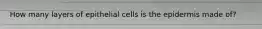 How many layers of epithelial cells is the epidermis made of?