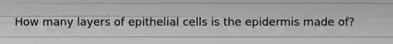 How many layers of epithelial cells is the epidermis made of?