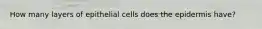 How many layers of epithelial cells does the epidermis have?