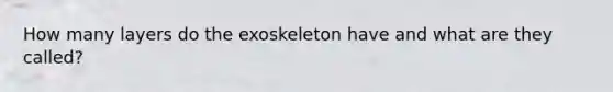 How many layers do the exoskeleton have and what are they called?