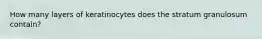 How many layers of keratinocytes does the stratum granulosum contain?