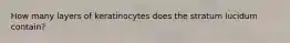 How many layers of keratinocytes does the stratum lucidum contain?