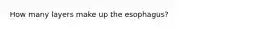 How many layers make up the esophagus?