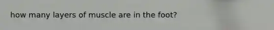 how many layers of muscle are in the foot?