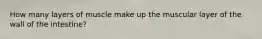 How many layers of muscle make up the muscular layer of the wall of the intestine?