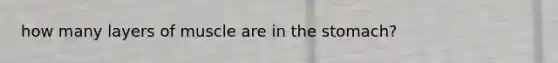 how many layers of muscle are in the stomach?